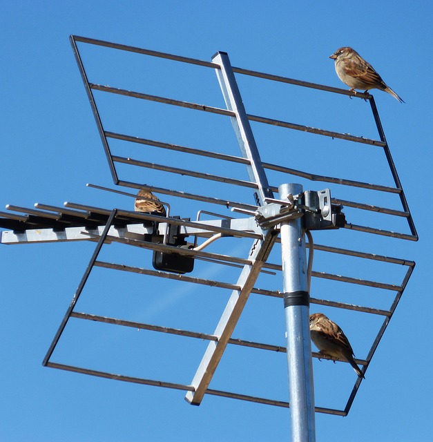 Is UHF Antenna a Better Choice than VHF?